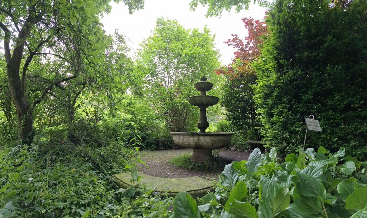 Een stenen fontein en drie bankjes, omringd door allerlei soorten groen die overal overheen schijnen te willen groeien.
