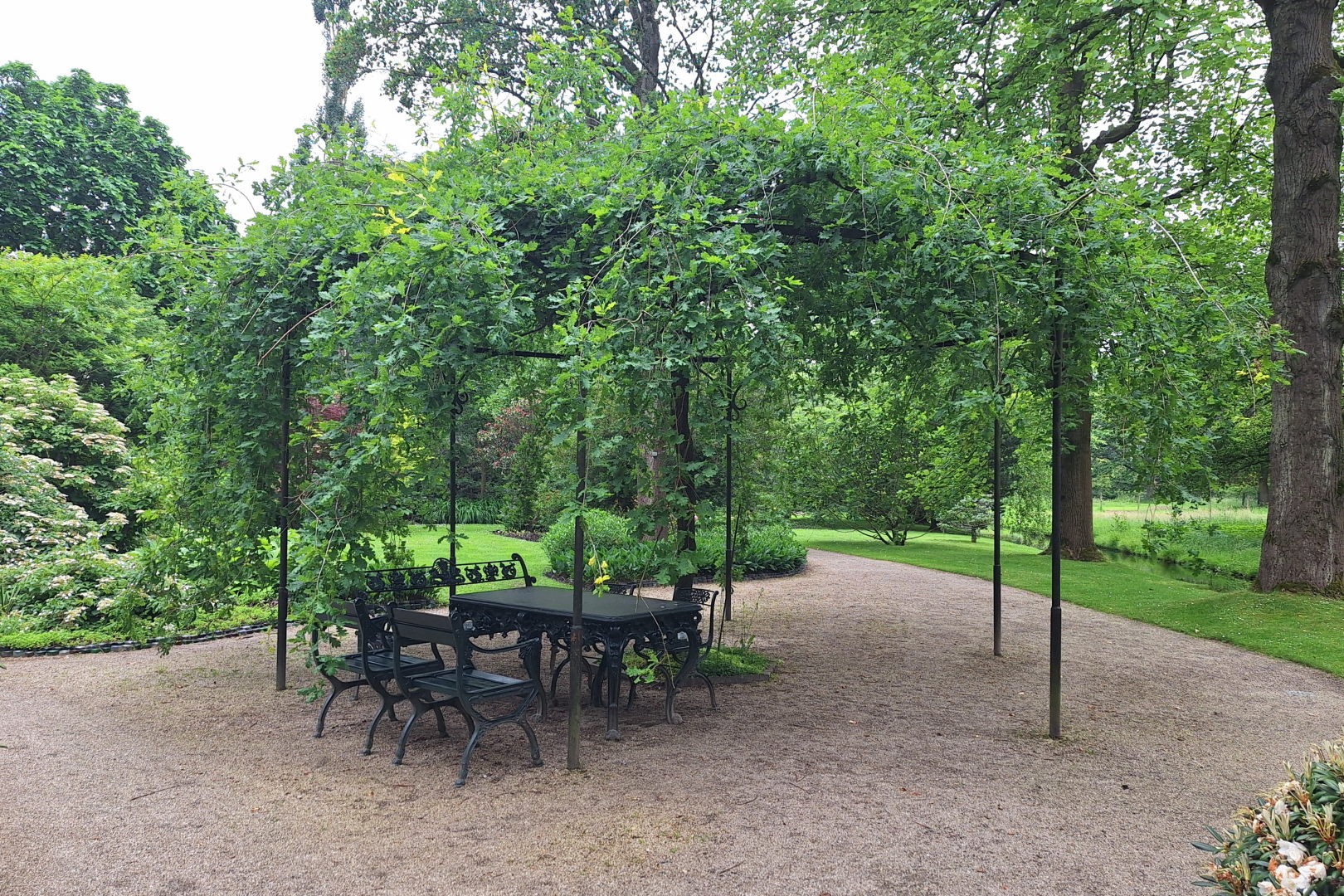 A round pergola with at its center a thin oak, the branches of which form the roof. Beneath it, a table and chairs.
