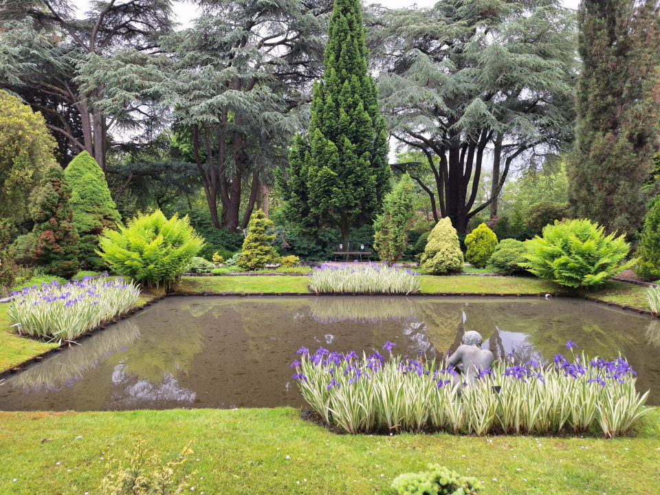 A square, shallow pond, hardly any leaves on the surface. Rectangular clusters of purple flowers on all four sides. On this side, there's a statue of a sitting man between the flowers; on the opposite side there's a bench. At the corners are large, bright green ferny plants.